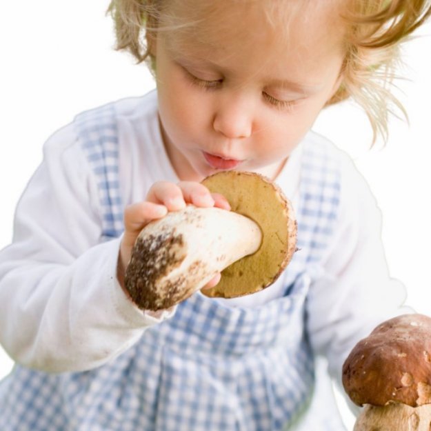 FUNGHI IN SVEZZAMENTO