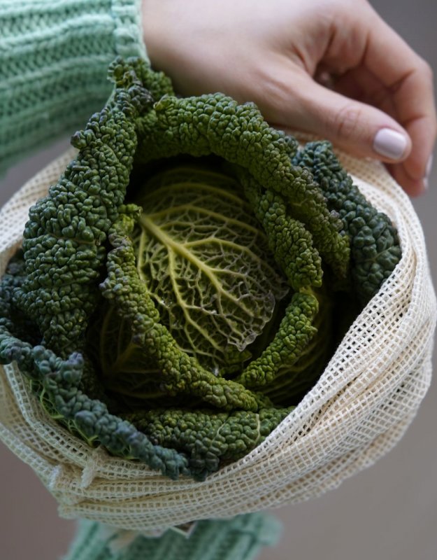 DIETA VEGETARIANA
